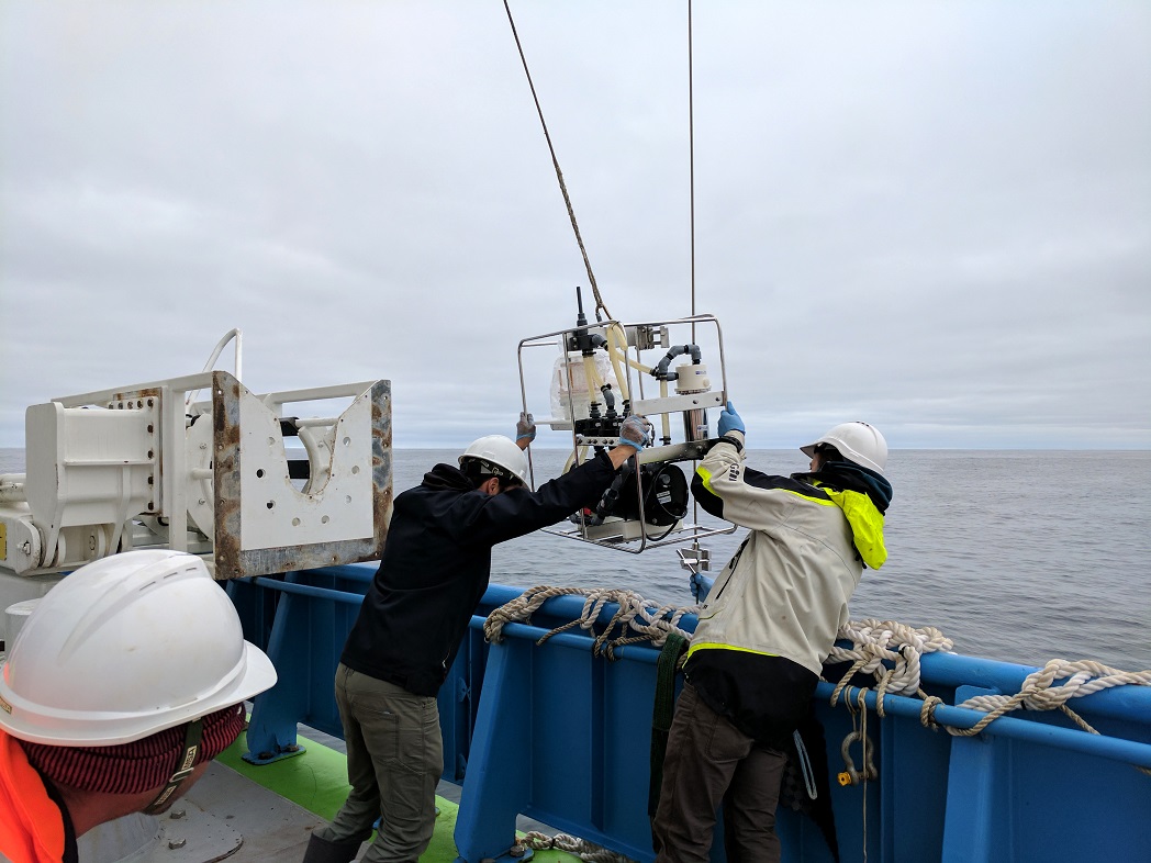 Warming Microbes May Shrink Southern Ocean Carbon Sink