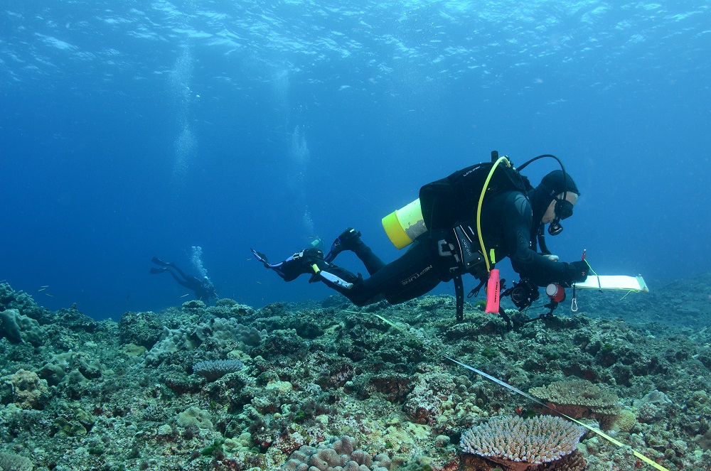 Immersive platform to explore global reef ecosystems launched today ...