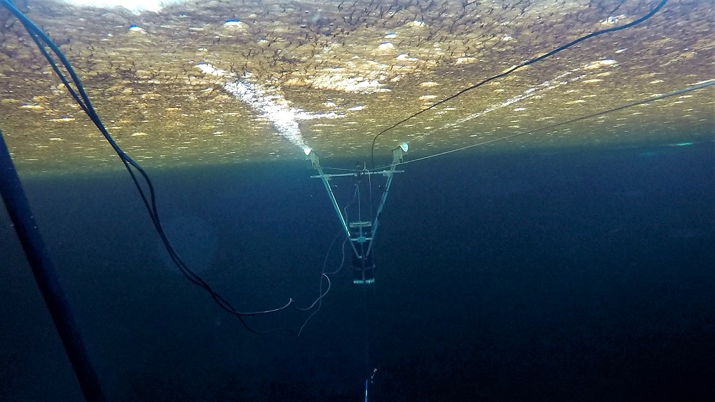 Underwater camera on sea ice