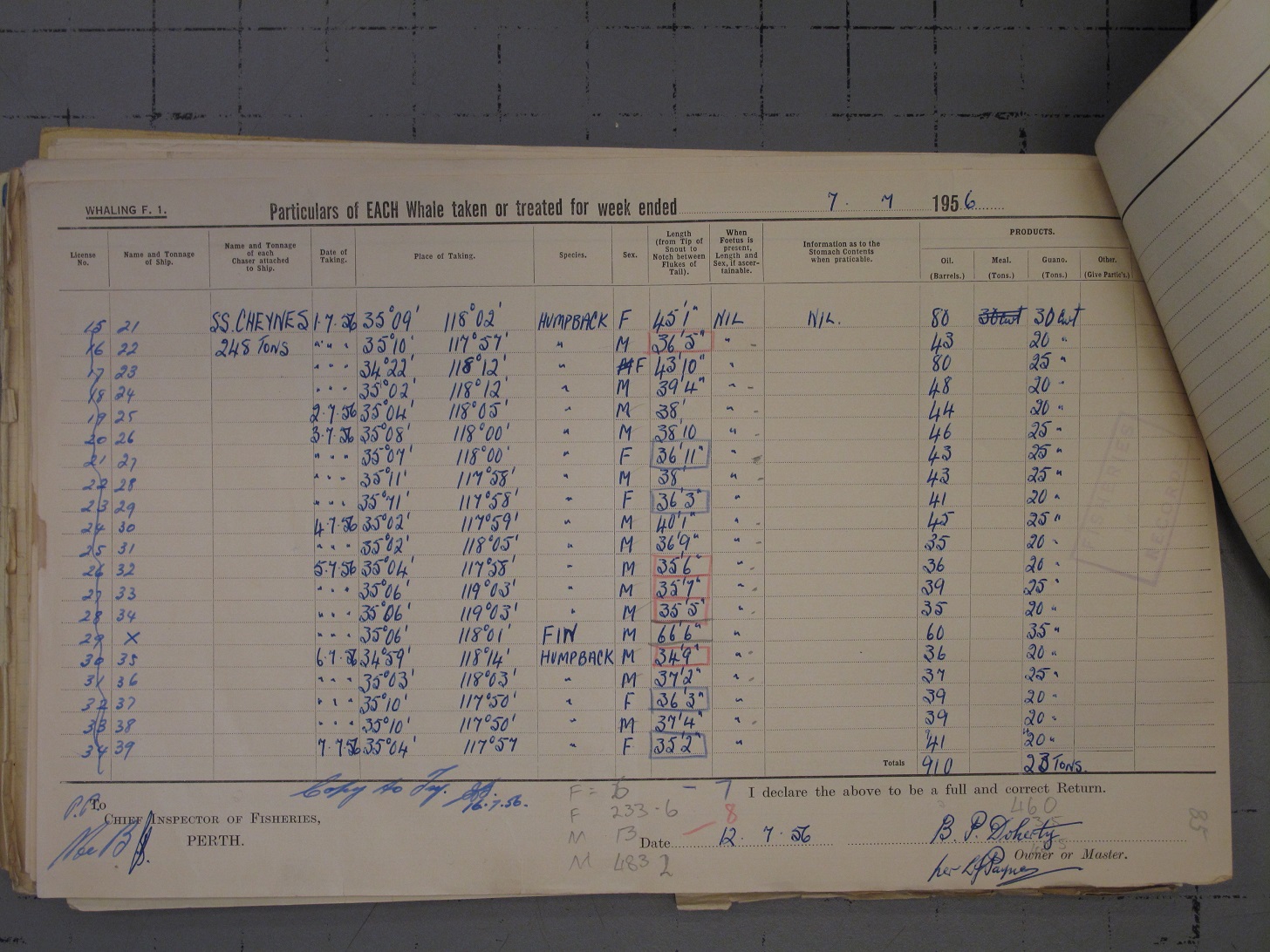 Cheynes Beach whaling station record from 1956