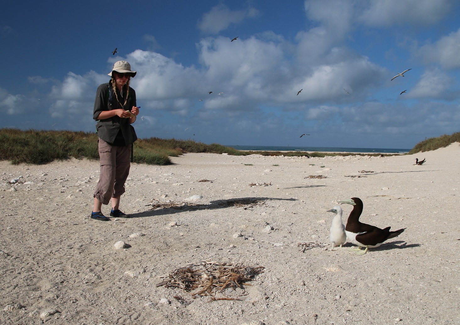 Megan Grant with brown booby