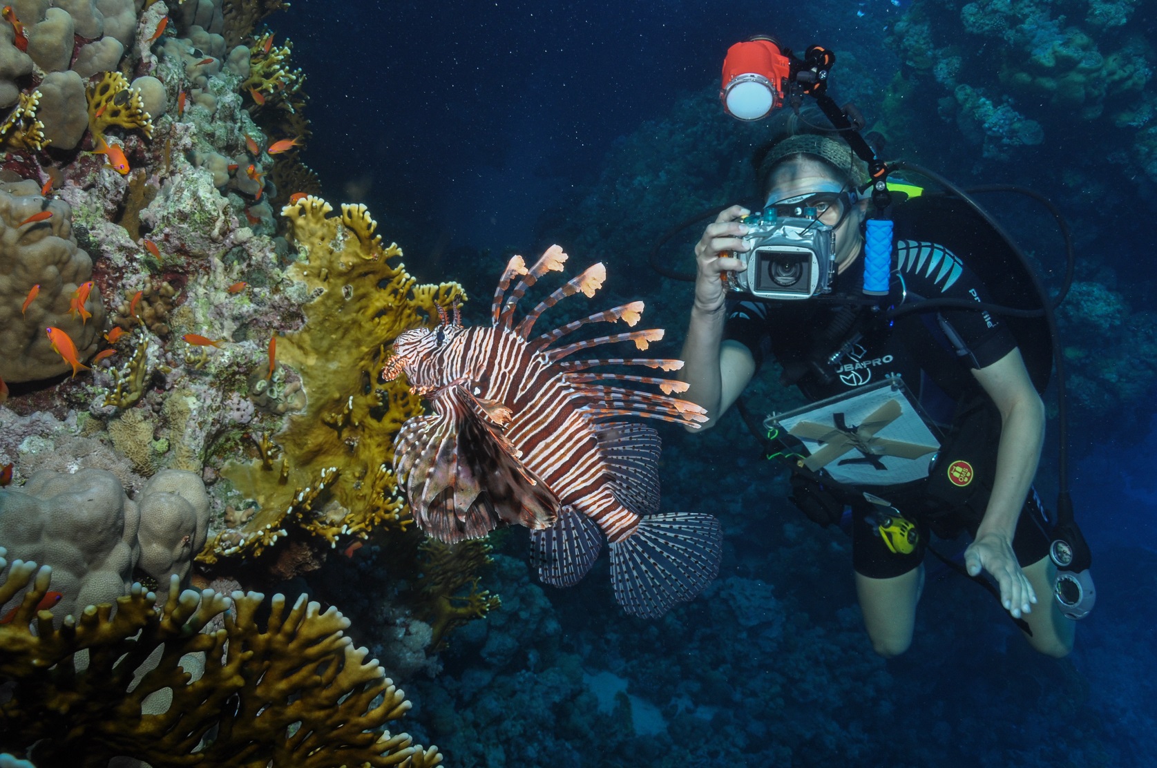  Reef Life Survey diver 