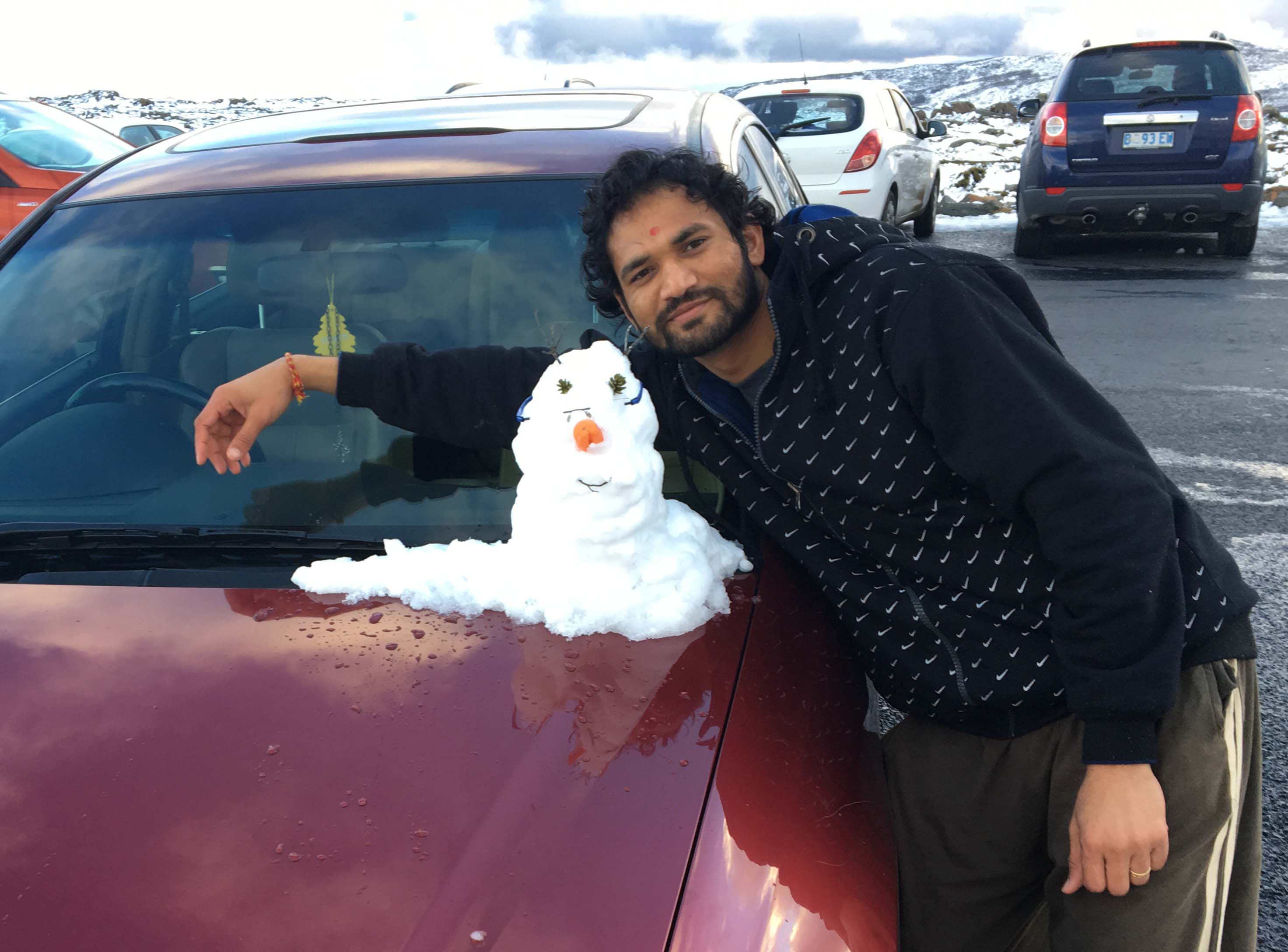 Ram with snow on Mt Wellington